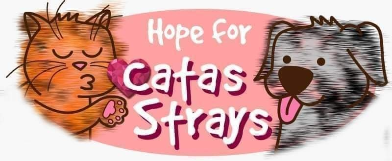 Hope for Catas Strays Germany