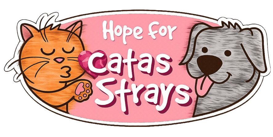 Hope for Catas Strays Germany